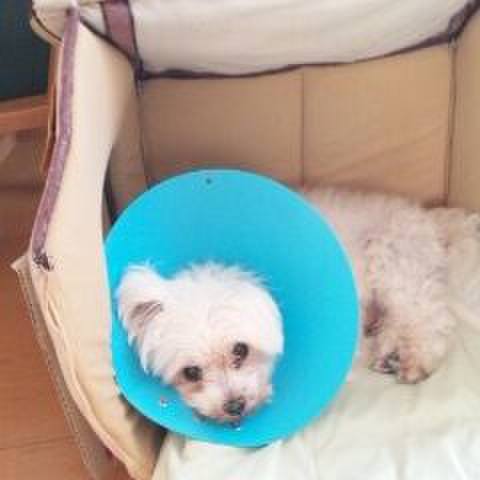 7af9d330 43c4 4f60 a347 27110a153b0c