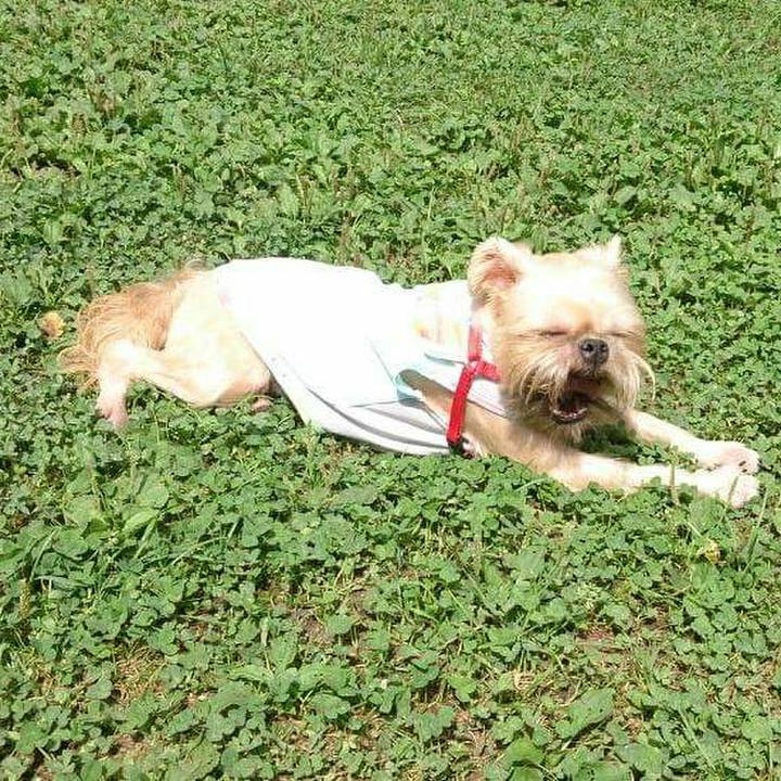 7af9fa5e 7d46 46ab b268 a7f479653af4