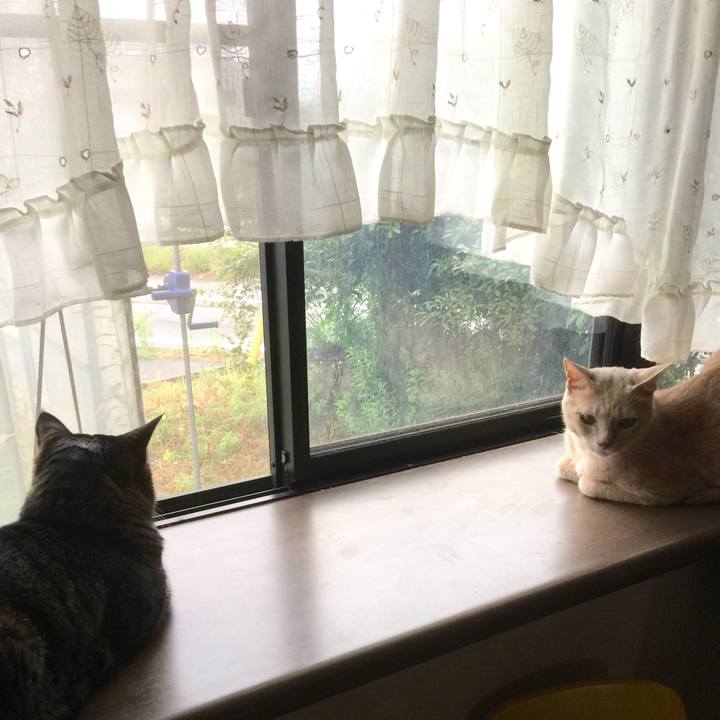 7afa5104 a945 47f9 834d e5af4db78293