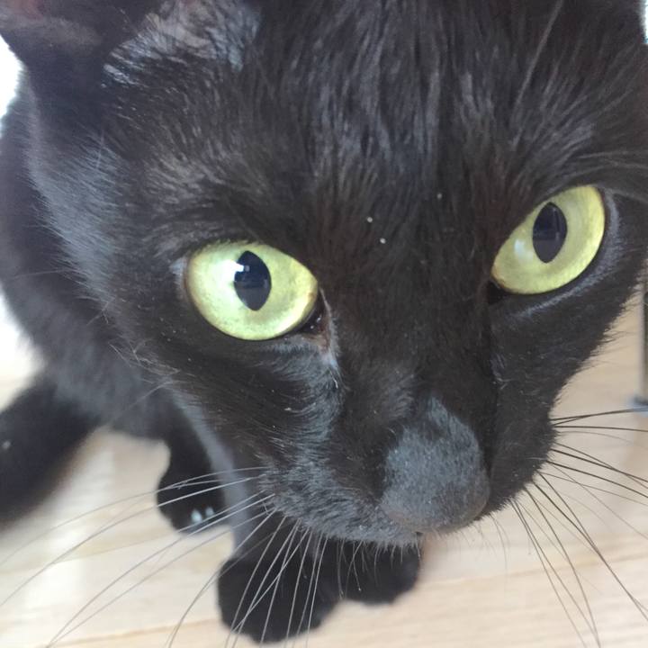 7afa55bb 3611 4303 8a9a 9a64b66873e6