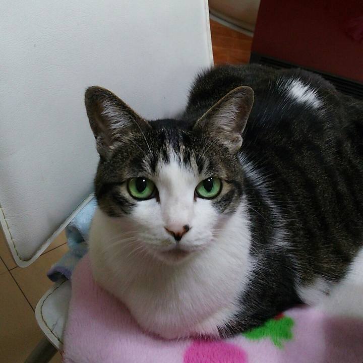 7afa94bf 2eda 4695 a4a7 954f47bfe453