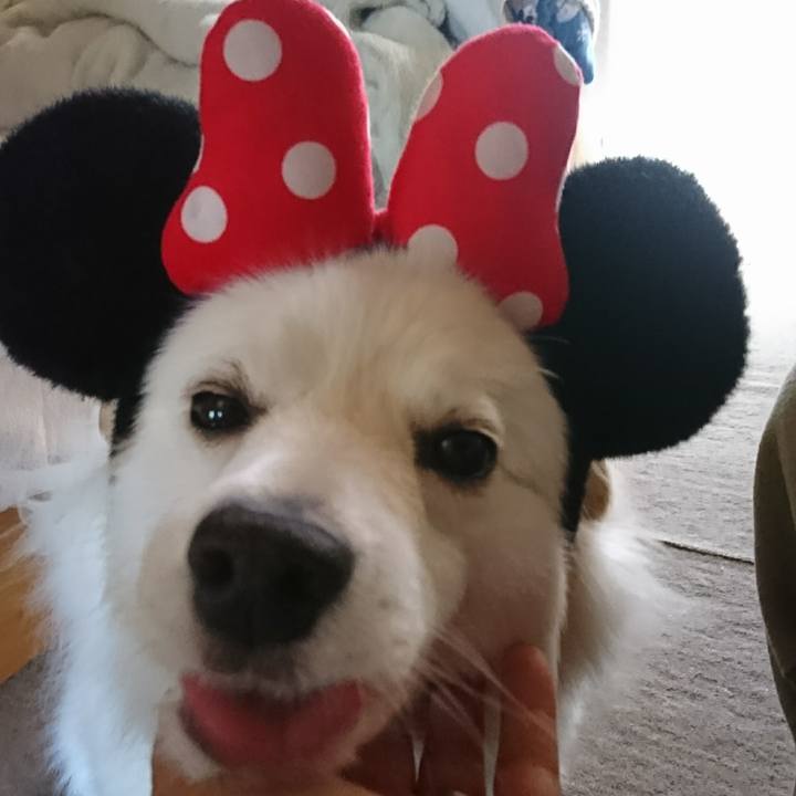 7afa9ee6 7cfe 495a 9064 44c904e96b0b