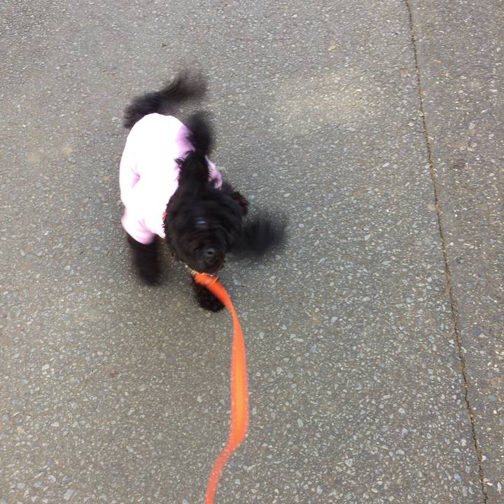 7afb16eb dd94 48a9 aecf 0f1ffde0c84f