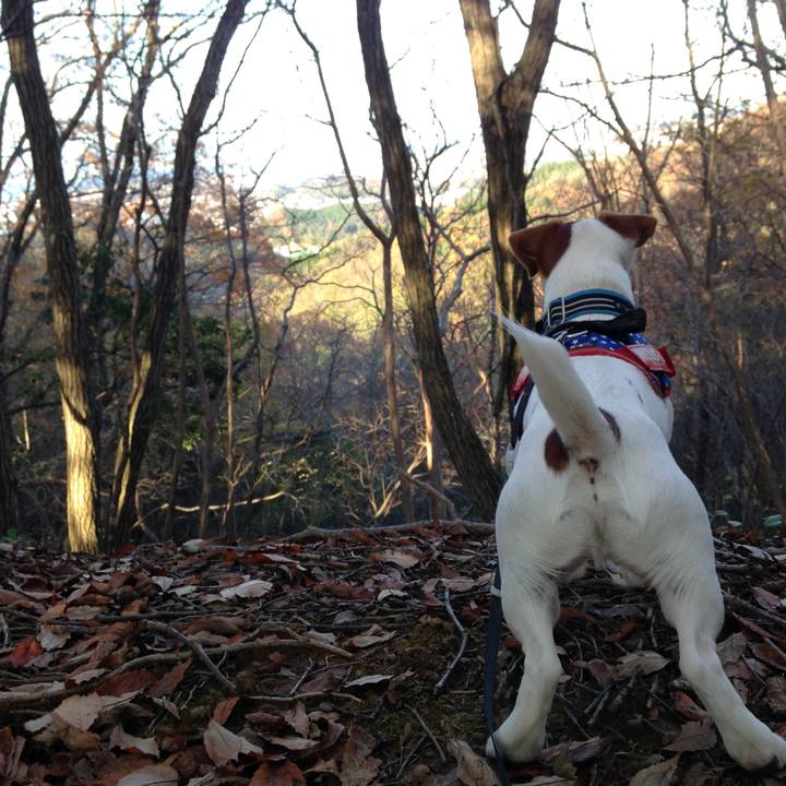 7afb4ced 61fc 42ab a444 a9a8a52ec526