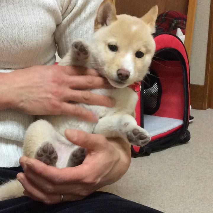 7afb6f72 8b31 451e 8a91 50361462e049