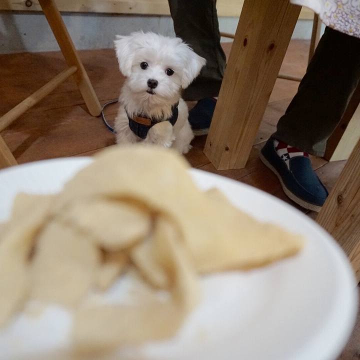 7afba440 9150 4b87 b870 83d37949341c