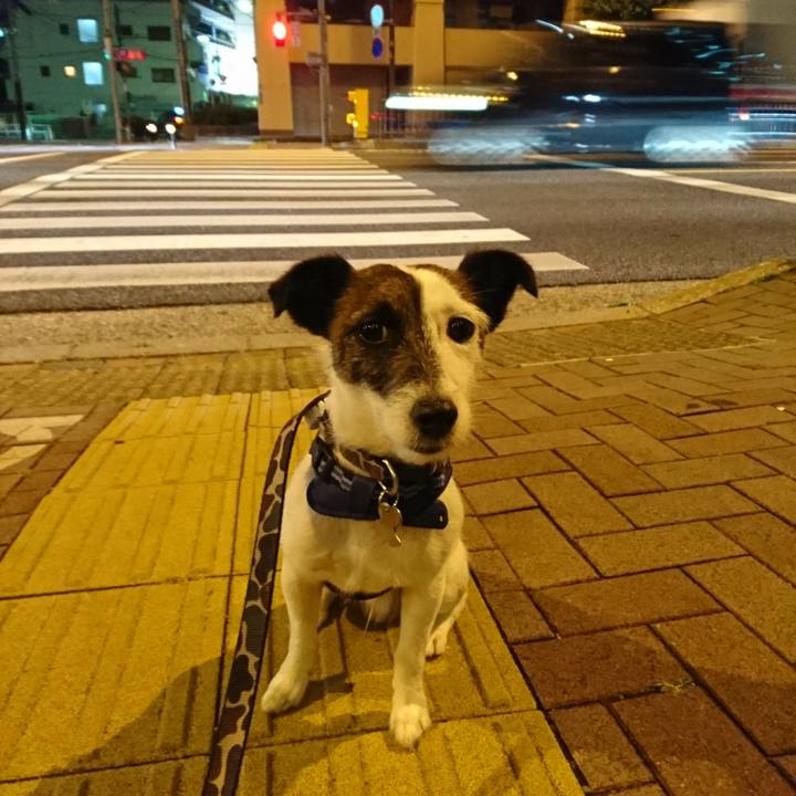 7afbb111 41ea 4ac3 b672 8d23c4878735