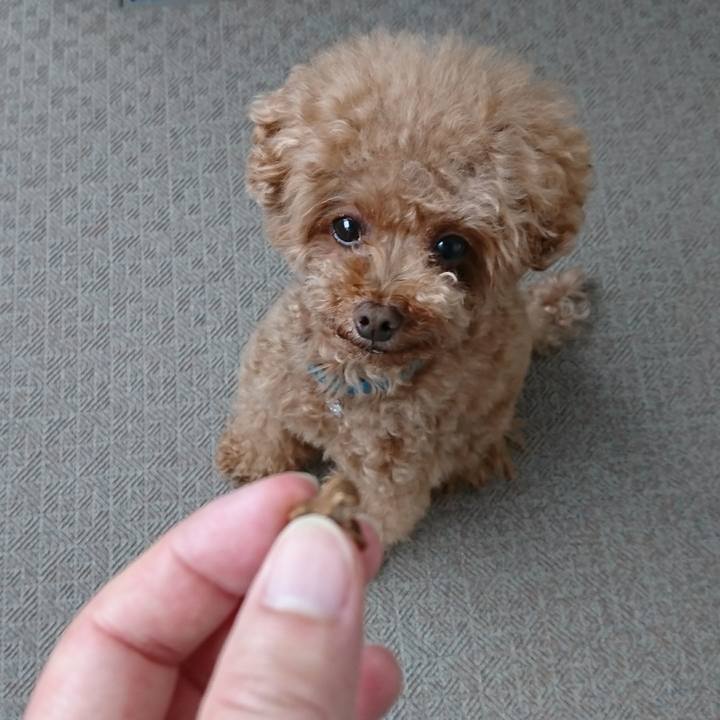 7afc1a79 bc82 4287 8a17 e6ab5a4dc18e