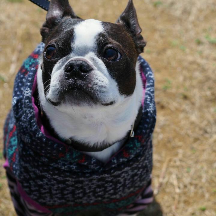 7afc98cb bff5 4ad5 a1ae a0600701d4a6