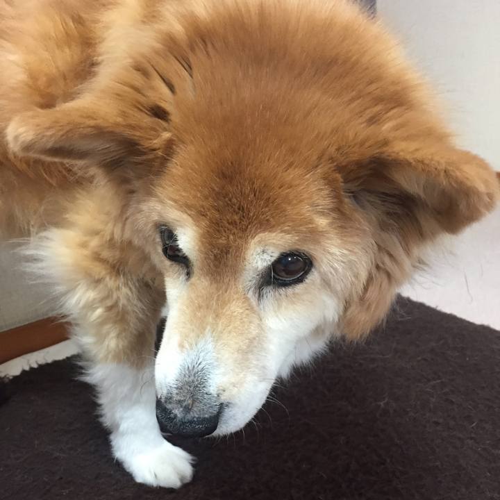 7afce22a 7d6a 45b1 8d34 2962ab1c2d2a