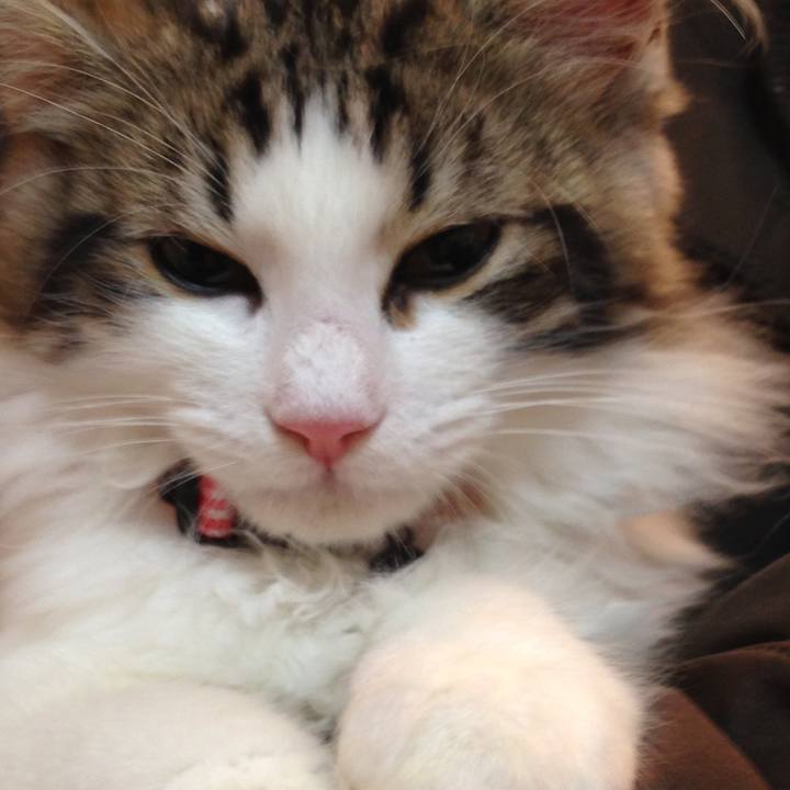 7afd4a3f 2069 483b 85ff 0e6083683d2c