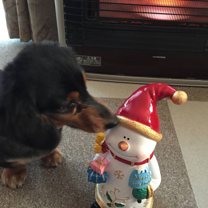 7afee56c 9da5 4504 92f2 cdc54ae7dec6