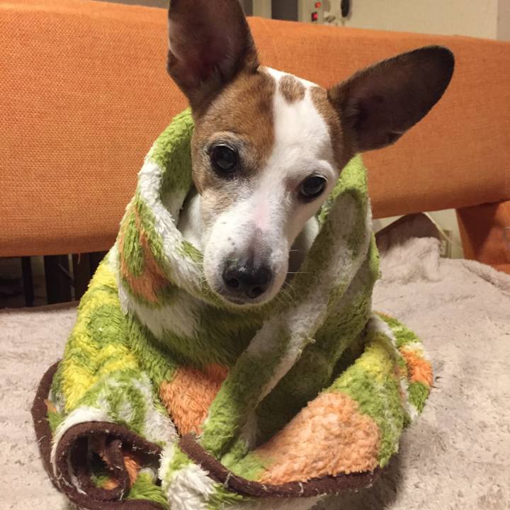 7affdadb 3371 409a 8886 193500076da1