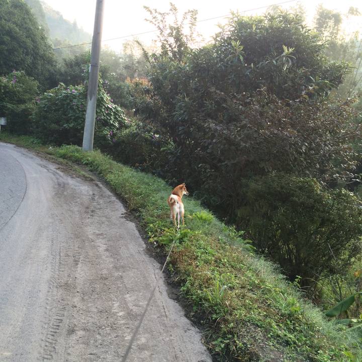 7afffc4b 2c01 47e3 b320 f7e9c930d690