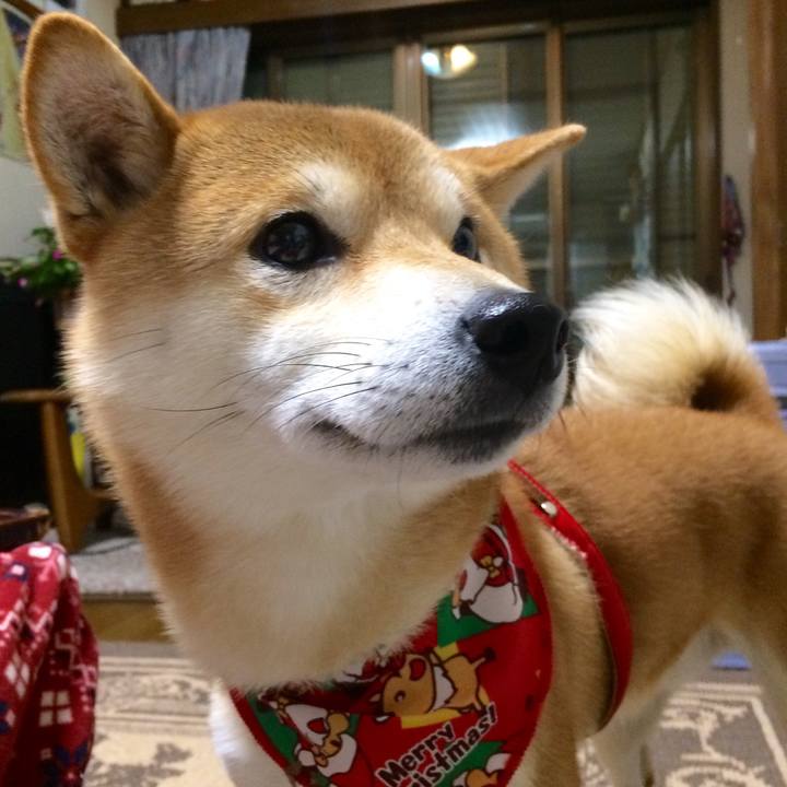 7b00a891 316e 4834 b114 ee9bbe0bf53f