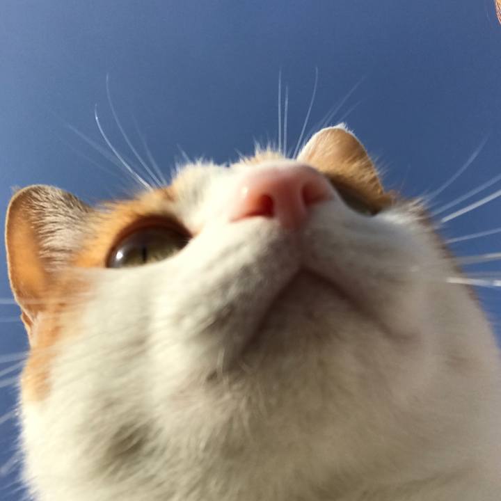 7b017aaa 2889 4d49 8c46 7040db78bcd8