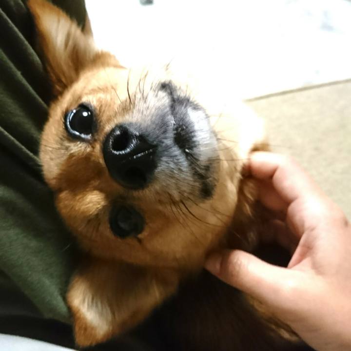 7b01d73c 6d9f 41ec 9b58 f981ce749aee