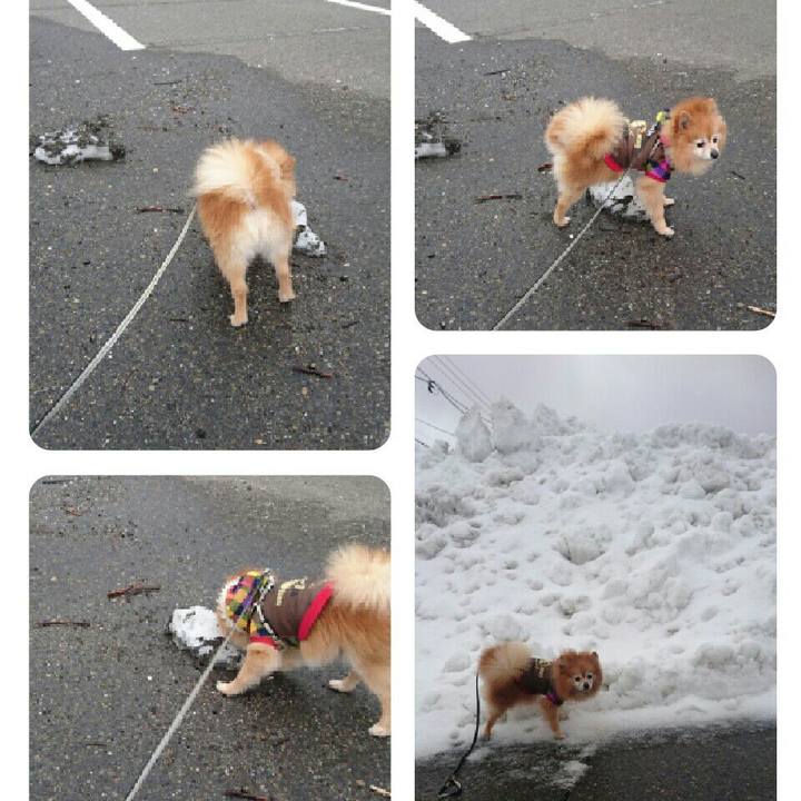 7b021067 fae7 4e60 8ca0 a34736a7a573