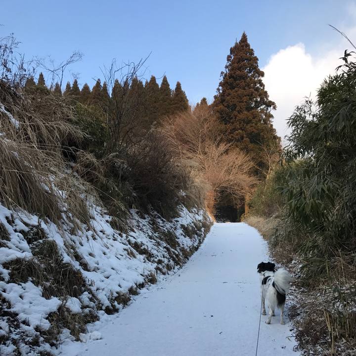 7b03062f 877c 4d37 8b56 c925818457a2