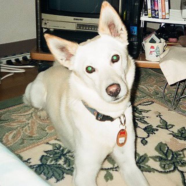 7b03739c 4c00 4d16 80eb 9b9365540f63