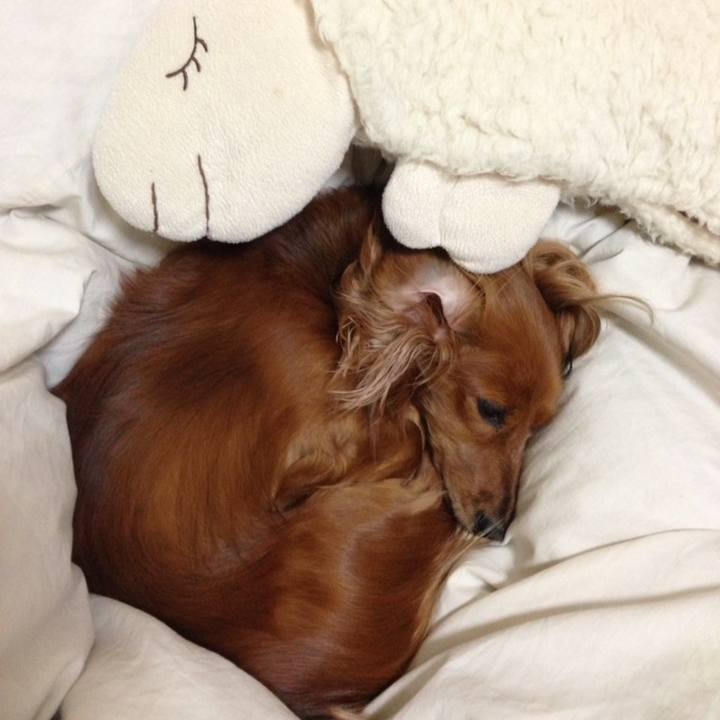 7b039f68 2dd5 4be3 a0a5 ea7ebe253603