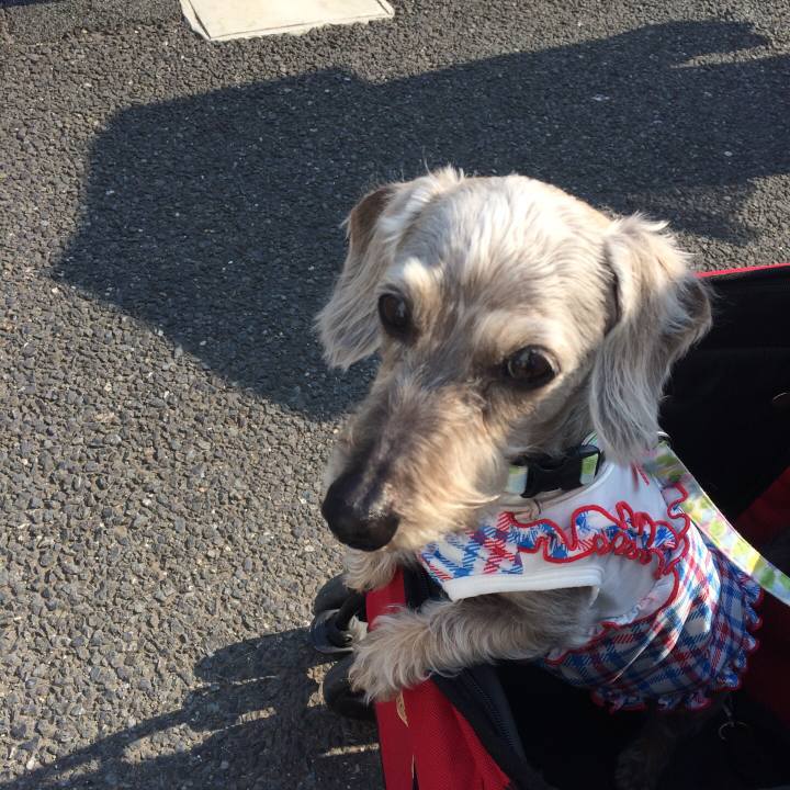 7b045ff5 d3a0 4aa3 b009 b54c8788768d