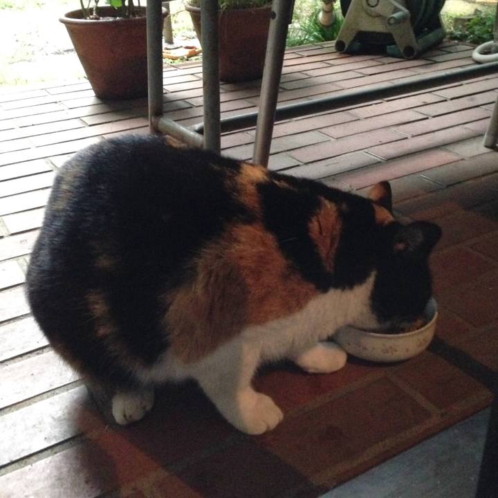 7b04cfa0 9955 41c2 82f3 e30fa30c9868