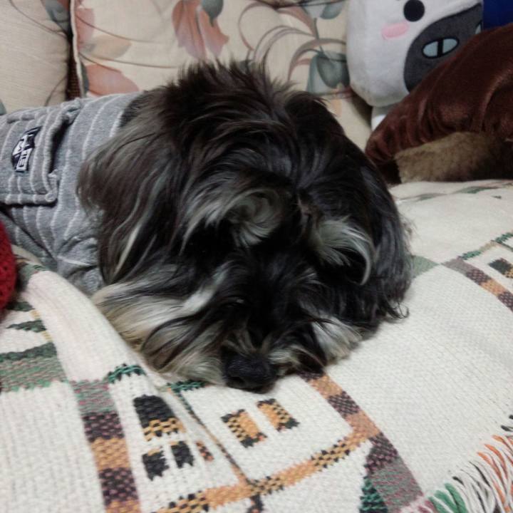 7b04d670 3242 46a3 b884 6eebf3715284