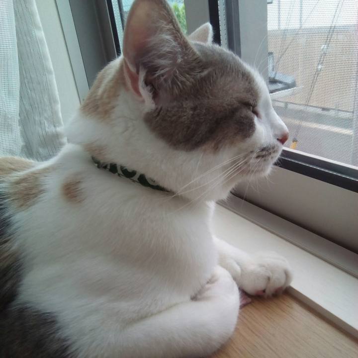 7b04fb45 533a 432b 997b 36661807311f