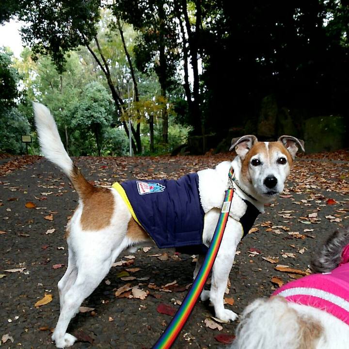 7b05642f 7267 4ea1 bdef bd2d99a24e58