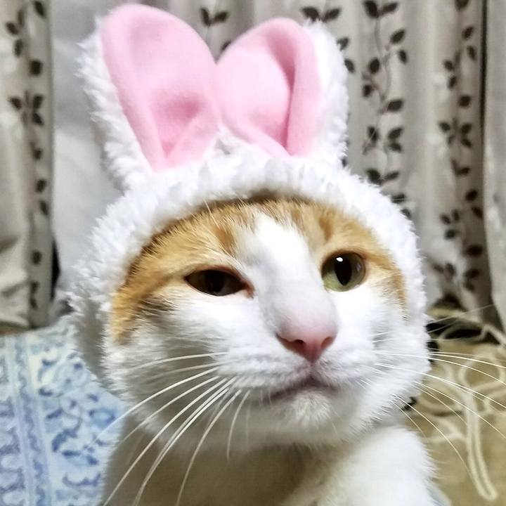 7b05ec05 f9e0 4df0 9ccd d0c915e0ddb7