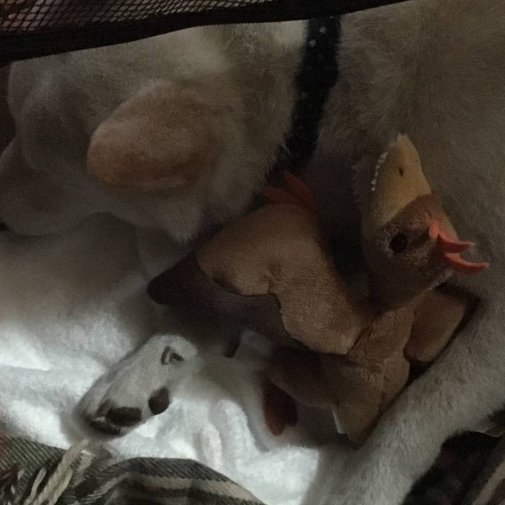 7b05f227 1197 4cb1 9de8 066e2b6ec0c3