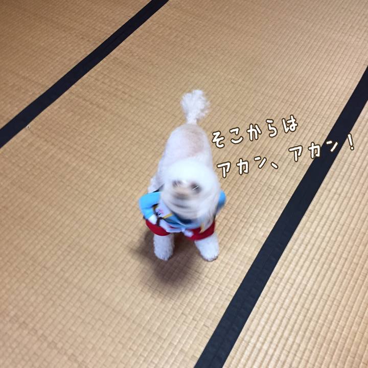 7b05feb8 51a5 4f11 bd6a 5e7b7104b658