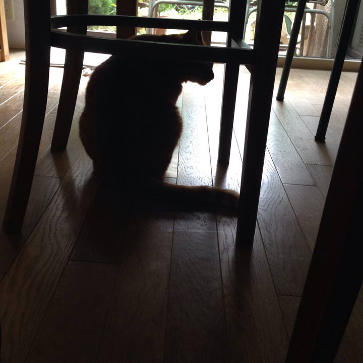 7b06539d eea2 44ab 9b1b f8a7ab501eb7