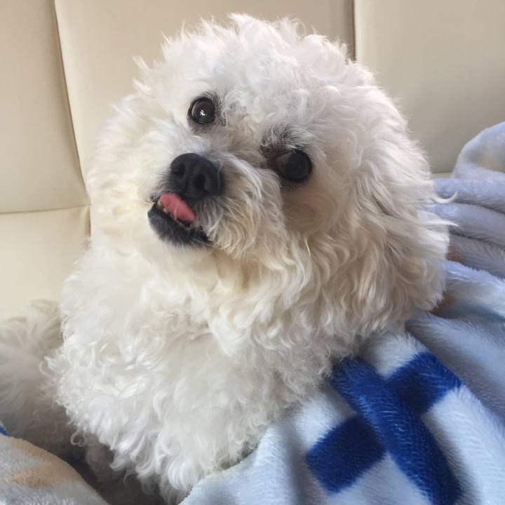 7b067137 bcab 4d0c a82a 130d03a09a5d