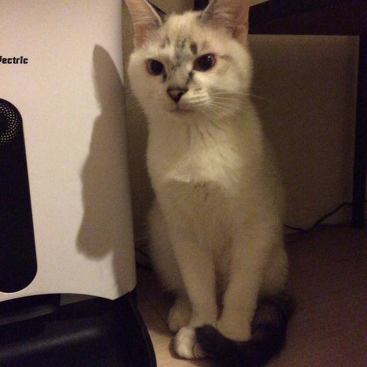 7b07ab47 3bb7 4eac a652 fbfbc6a8ffe4