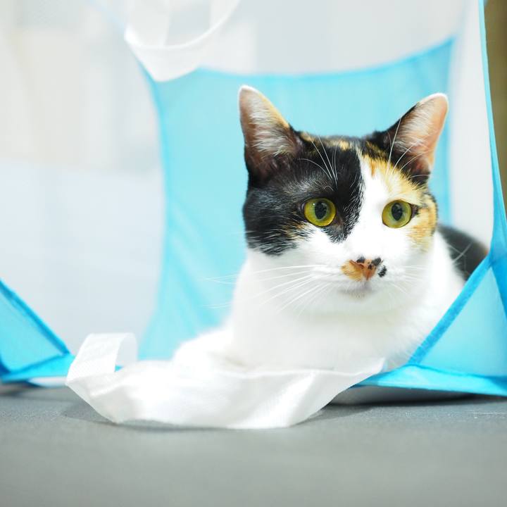 7b07e25c 4559 4a71 b75a 6ee83811d0e5