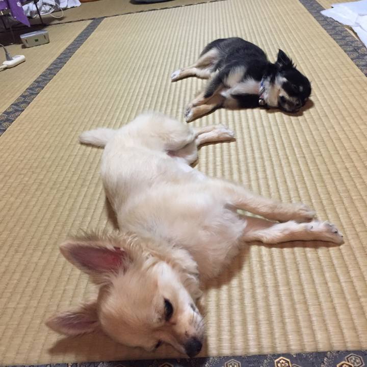 7b088594 25e4 448f 84ee 7a43760259f7