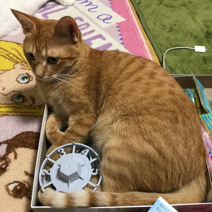 7b08b9ec cd3f 4666 86ac bd2ea15e9e11