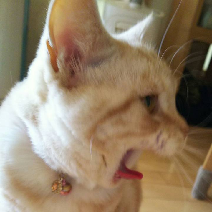 7b08f60f 182e 4156 8219 05d112720500