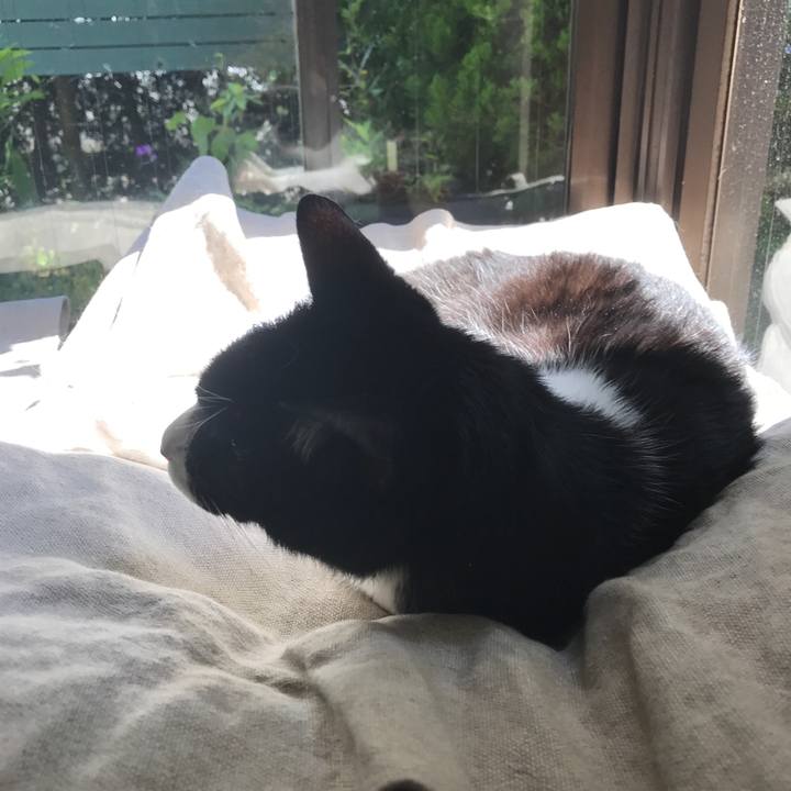 7b09ad89 f45a 48d0 aa75 aea4bfe8e5f3