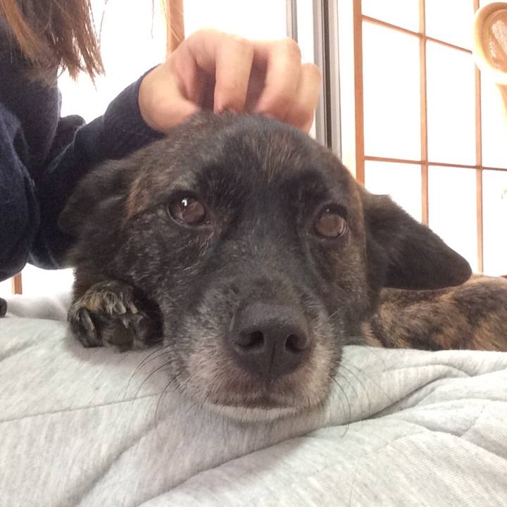 7b09d7b6 cbe1 421f 9591 3ceb403b076a