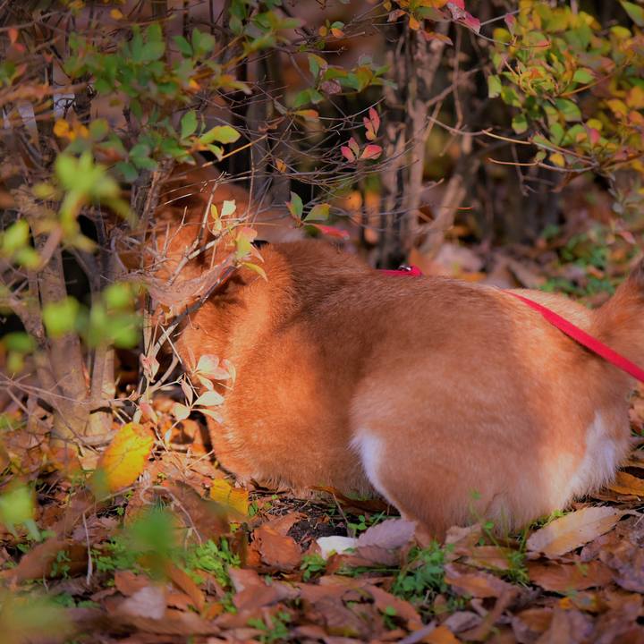 7b0a6eff e098 4fd5 9936 0e866b3b3cd2