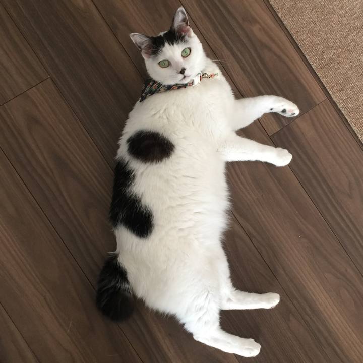 7b0a8f48 49d0 40f0 a829 4569a9ffbd50