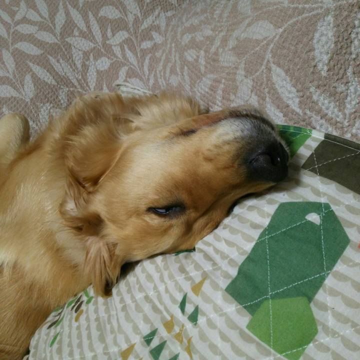 7b0aaf39 4c9c 4963 800f 9efd0dac0bfe