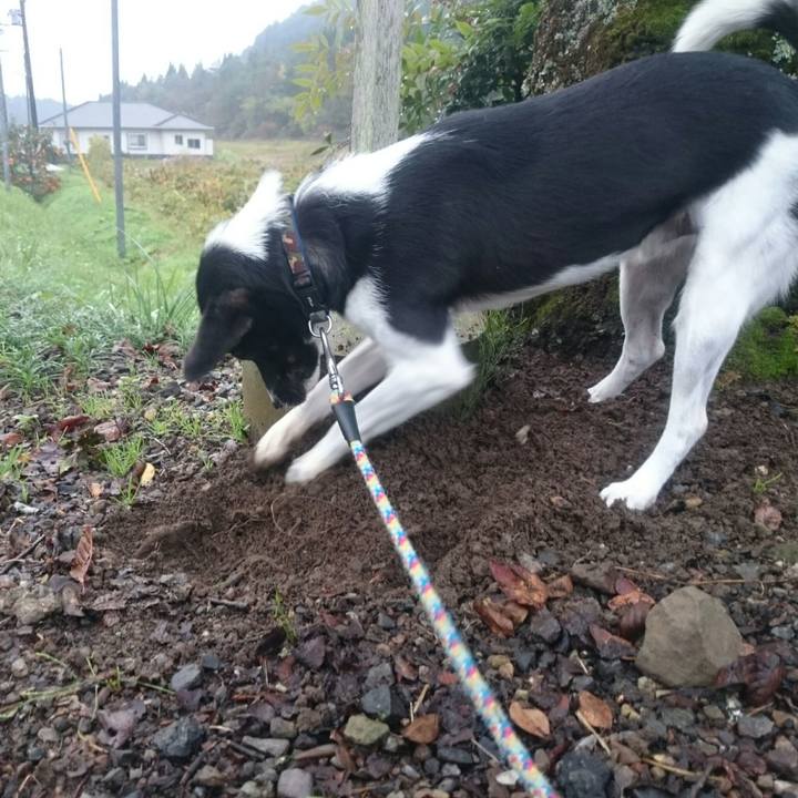 7b0adef0 3f26 4061 8782 6a58de0987c1