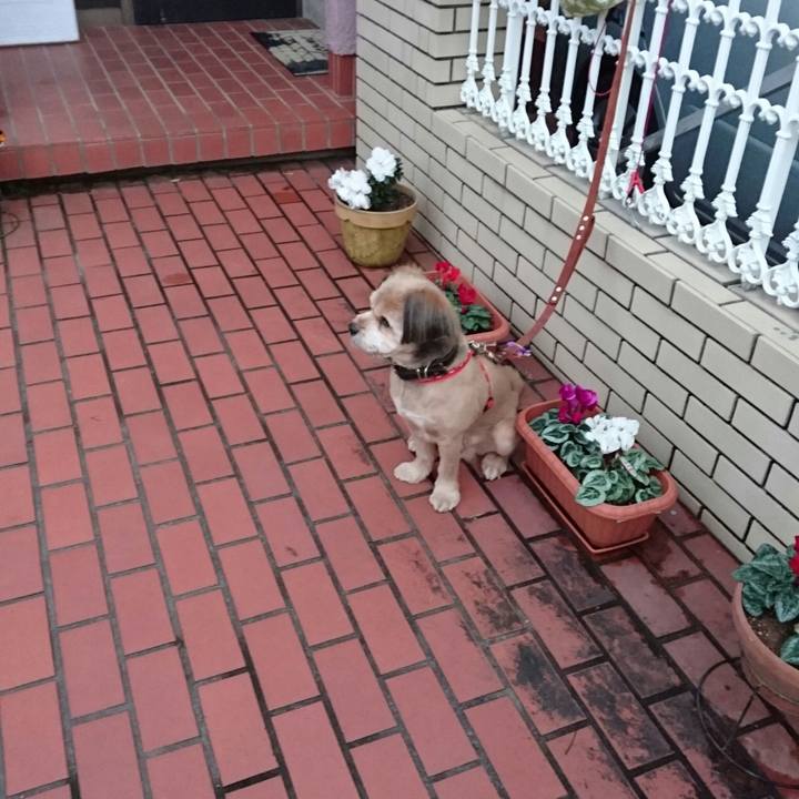 7b0c00c3 61fc 4551 b585 0e9cda26d8c1