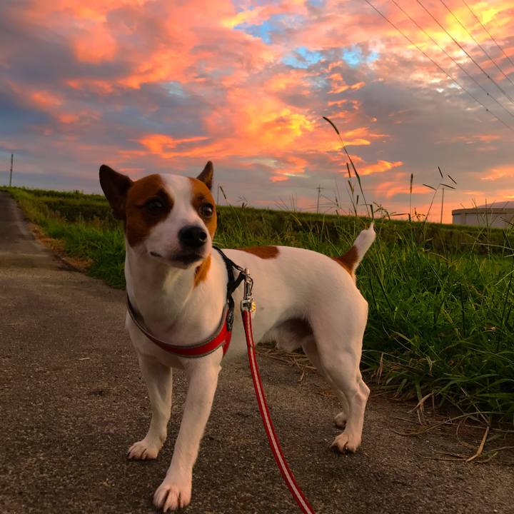 7b0c6561 4a2f 4f59 9859 e7a32643bec5