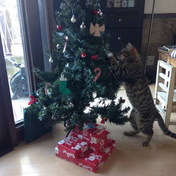 7b0d1618 3ee0 4d06 bc79 abb63223b7a5