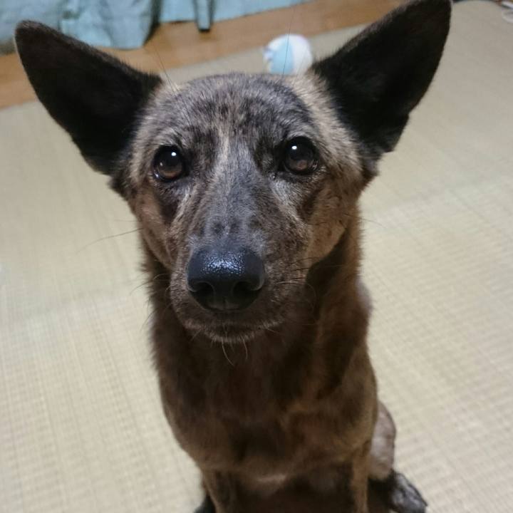 7b0d48e3 9fd3 4cfe a992 1a4ce67885cc